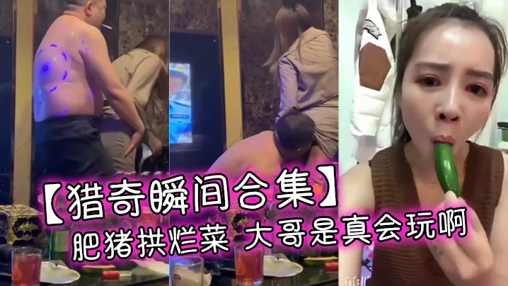 【猎奇瞬间合集】肥猪拱烂菜 大哥是真会玩啊