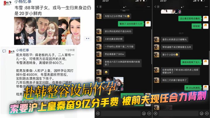 赴韩整容设局怀孕 索要沪上皇秦奋9亿分手费 被前夫现任合力背刺 曝光大尺度聊天记录！