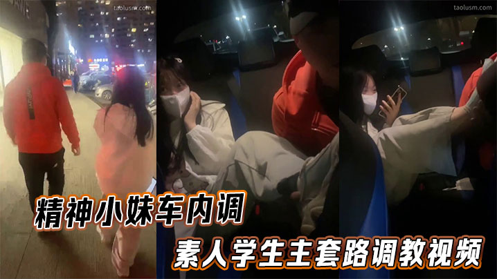 精神小妹车内调_素人学生主套路调教视频